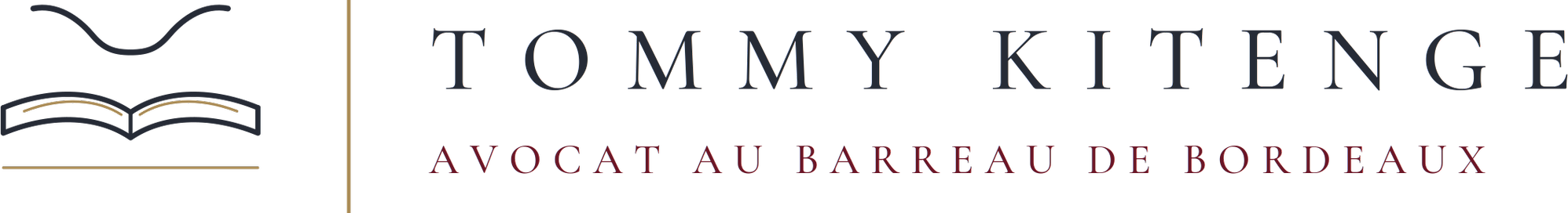 Logo TOMMY KITENGE